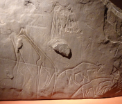 Felsmalereien und -gravuren I